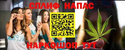 a pvp Гусев