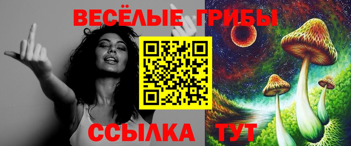 Псилоцибиновые грибы мухоморы  Вход с VPN  Галлюциногенные грибы Psilocybine cubensis  Нижнекамск 